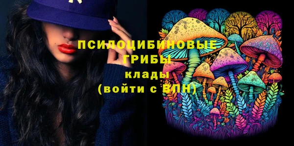 сатива Алексин