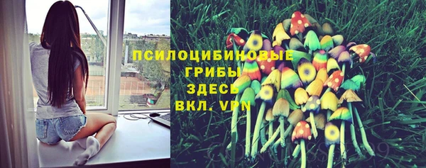 кокаин Алексеевка